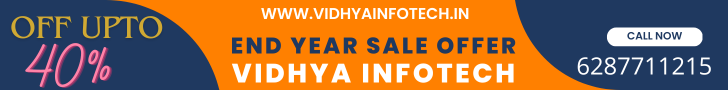 Vidhya Infotech Website Designing Company